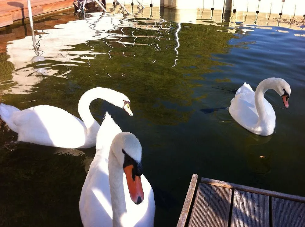 Ajo Apartments - Alte Donau Waterfront - Self-Check-In 0*, Vienna Austria
